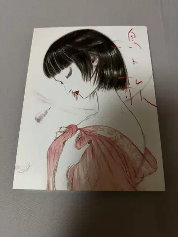 새의 노래 DVD 아마노 요시타카