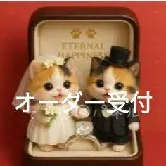 오더 접수