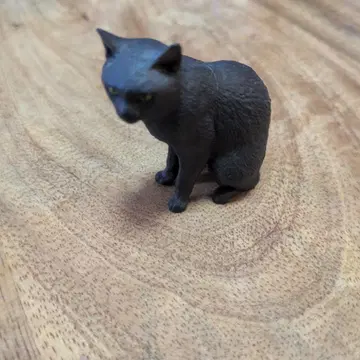 모리구치 오사무의 고양이 검은 고양이