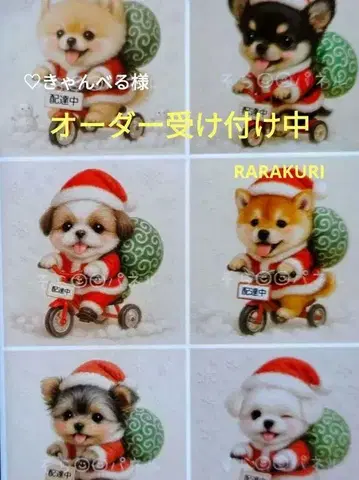 포메라니안 치와와 시추 시바견 요크셔테리어 몰티즈 패널