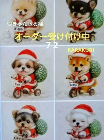 포메라니안 치와와 시추 시바견 요크셔테리어 몰티즈 패널