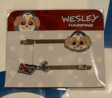 WESLEY 헤어핀 WilliamEst Fancon GMMTV 새상품