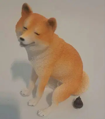 볼일 보는 시바견 똥