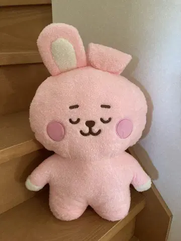 BT21 COOKY 정국 네톤 봉제 인형