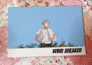 윈브레 WIND BREAKER 엽서 벚꽃 하루카 소호 하야토