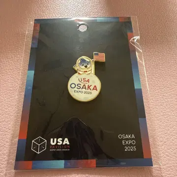 USA 미국 파빌리온 엑스포 핀 배지