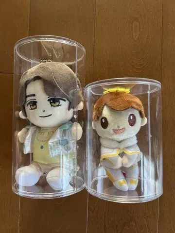 타카하시 카이토 춋코리상 & 하피누이