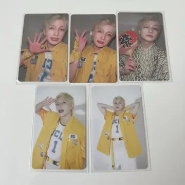 판다 드래곤 요우타 트레이딩 카드