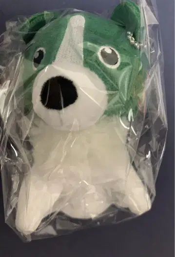 녹황색사회 브로콜리 봉제 인형 키링