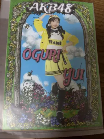 오구리 유이 AKB48 다이마루 의상전 개인 브로마이드