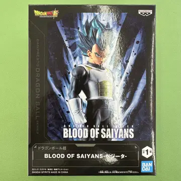 드래곤볼 BLOOD OF SAIYANS 베지터