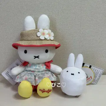 하우스텐보스 한정판 미피 봉제 인형 나인체 카페 마스코트 세트