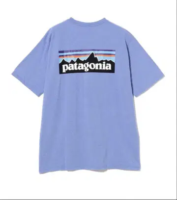 patagonia / P-6 Logo Responsibili Tee