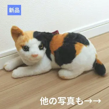 [새상품] 리얼 삼색 고양이 봉제 인형 엎드린 자세
