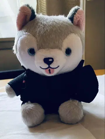 도오리견 봉제 인형 마츠무라 호쿠토