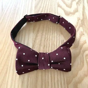 나비 넥타이 넥타이 결혼식 파티 포멀 실크 레드 빨간색 도트