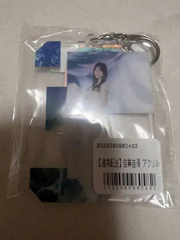 사쿠라자카46 아크릴 키링 자업자득 야마시타 시즈키