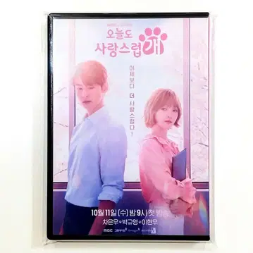 원더풀데이즈