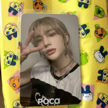 Stray Kids MAXIDENT POCA shopee 특전 현진