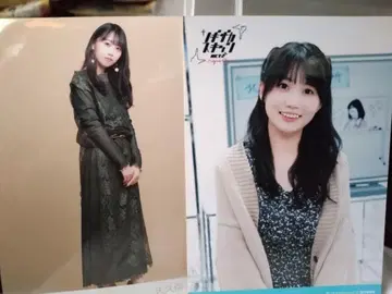 노기자카46 4기생 아이돌 사진 세트 (YUNA SHIBATA 외)