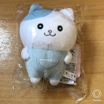 나가노 캐릭터 즈 포테타마 봉제 인형 (하치와레 왠지 닮은) 나가노