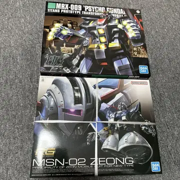 HGUC MRX-009 사이코 건담 & RG MSN-02 지옹 세트