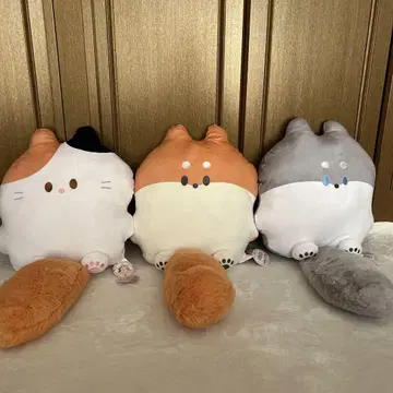 후와후와 테-루 빅