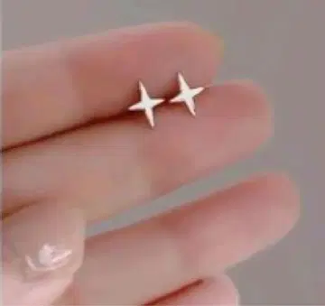 실버 별 모양 귀걸이