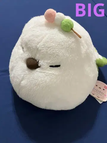 후쿠후쿠 시마에나가 봄빛깔 비요리 벚꽃 [ 마챠 히코 오당고 ]