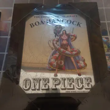 ONEPIECE 보아 행콕
