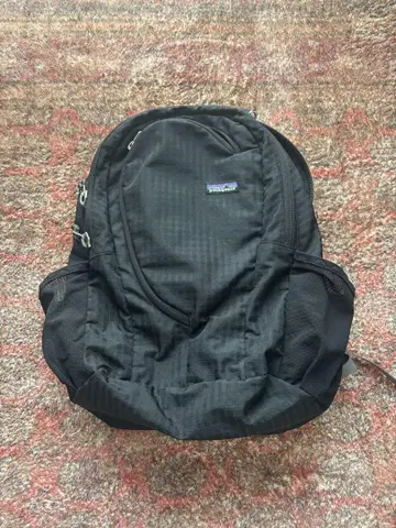 Patagonia 라이트 와이어 백팩