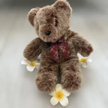 히로쿤하우스 테디베어 봉제 인형 곰 곰 곰,
