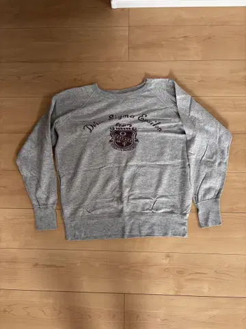 Champion 80년대 레어템 맨투맨 L사이즈 그레이