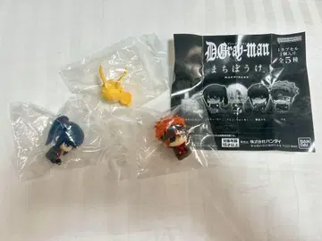 D.Grayman D.그레이 기다림 (칸다, 라비, 팀 캠피)