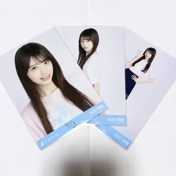 야다 모에카 한여름 전국 투어 2025 T셔츠 카가와 Ver. 컴프