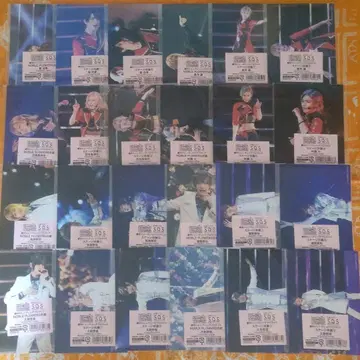 츠키프로 LUNATIC FES 2025 극중 사진 트레이딩 브로마이드