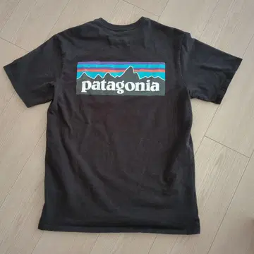 Patagonia 파타고니아 티셔츠