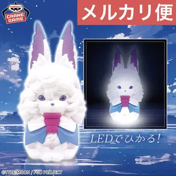 Fate/Grand Order 포우 룸 라이트