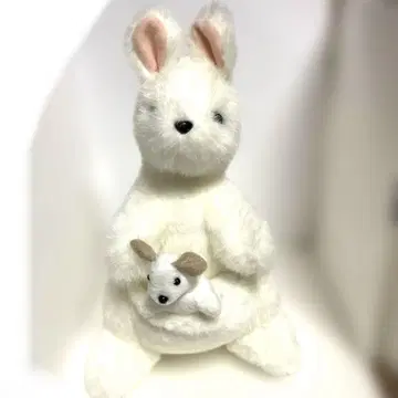 호주 화이트 캥거루? 봉제 인형