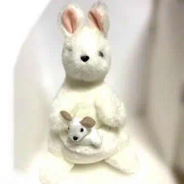 호주 화이트 캥거루? 봉제 인형