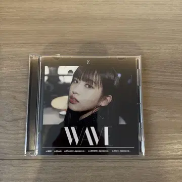 WAVE DIVE반 ive