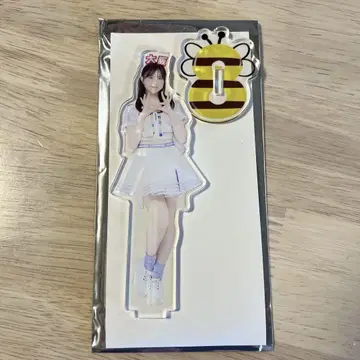 나가노 세리카 AKB48 다이마루 현명 머리띠 랜덤 아크릴 스탠드