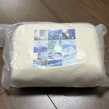 교모토 타이가 시점과 시점 파우치