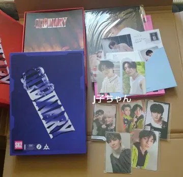 아이엔 MAXIDENT ODDINARY 스키즈 일반반
