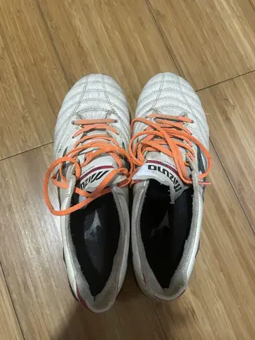 모렐리아 네오 25cm 교체식
