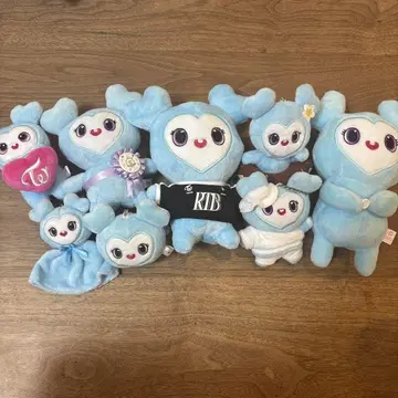 twice 나블리 나연
