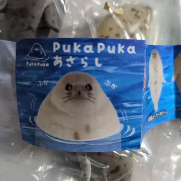 PukaPuka 물범 5종 컴플리트