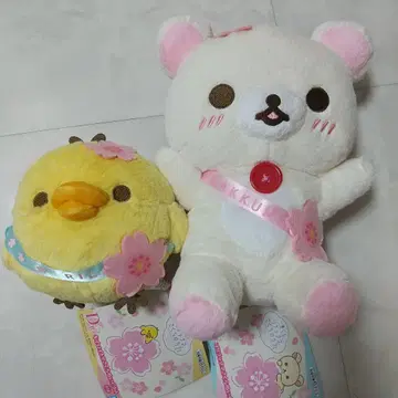 리락쿠마 사쿠라 카페 B상 코리락쿠마 D상 키이로이토리 사쿠라 봉제 인형