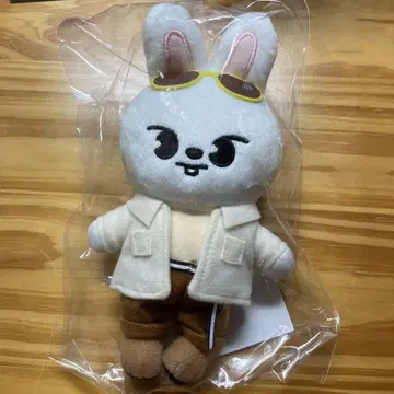 straykids 리노 Lee비트 백참