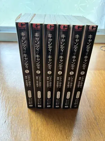 캔디 캔디 문고판 전권 이가라시 유미코